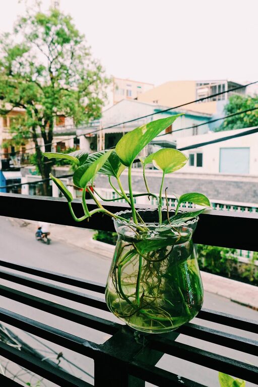 How to Make a Small Balcony Feel Cozy and Inviting